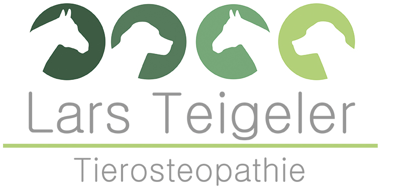 Osteopathie für Pferde und Hunde NRW